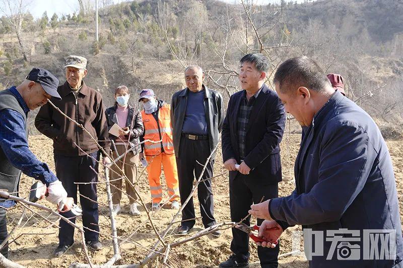 杏花岭区农业农村局最新发展规划概览