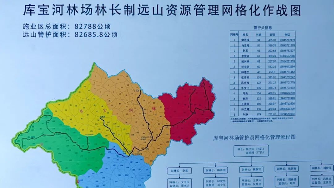 卧龙河林场最新发展规划概览