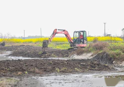 峨眉山市农业农村局新项目推动农业现代化，乡村振兴再添动力