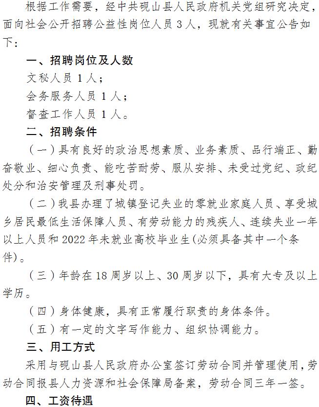 泰山区体育馆最新招聘概览