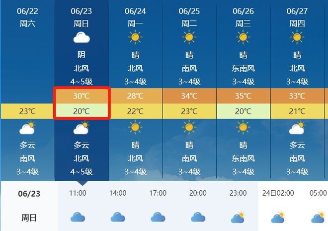 2024年12月31日 第28页