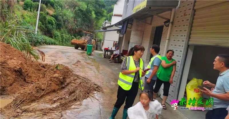 共荣乡交通最新动态，道路建设与发展揭秘