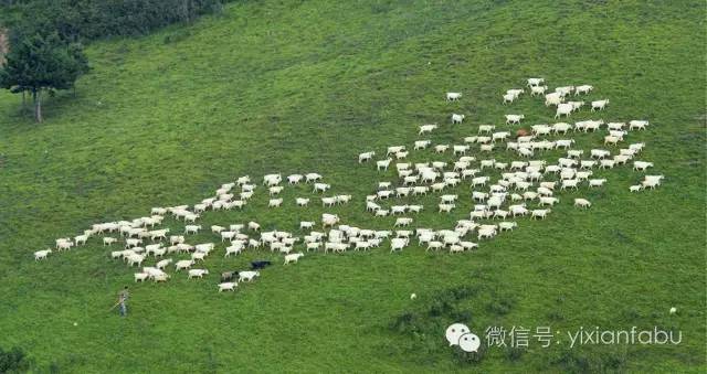 蔡家峪乡最新招聘信息全面解析