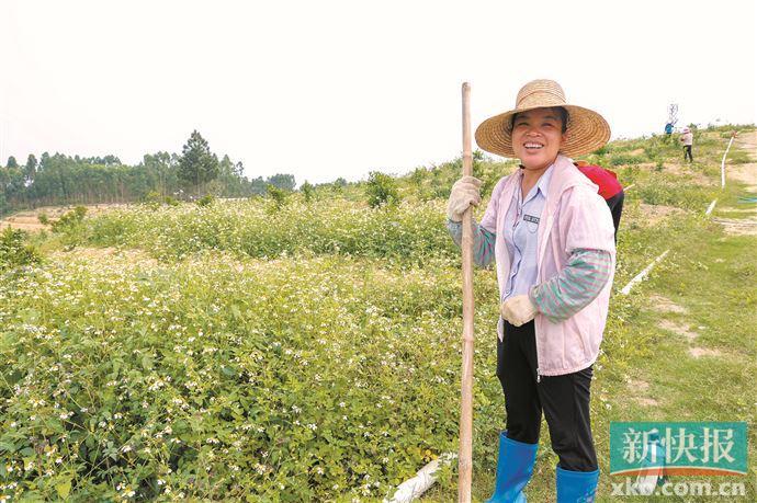 清城区石角镇最新招聘信息概览