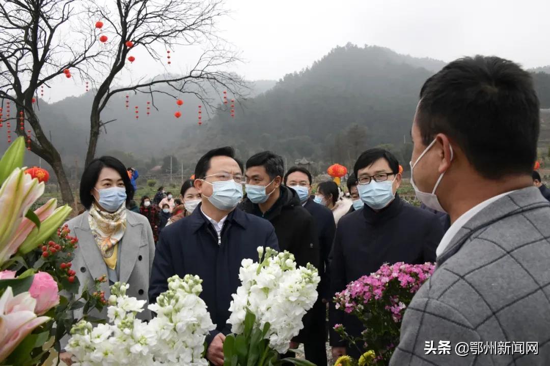 梁子湖区发展和改革局最新发展规划深度探讨